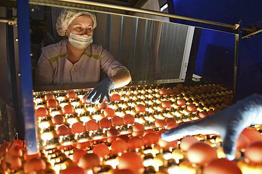 Россияне сравнили цены на яйца по всему миру и сильно удивились. Что они узнали?