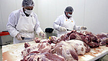Япония разрешила импорт свежего мяса из России