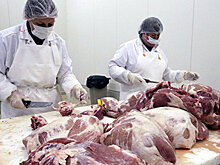 Япония разрешила импорт свежего мяса из России