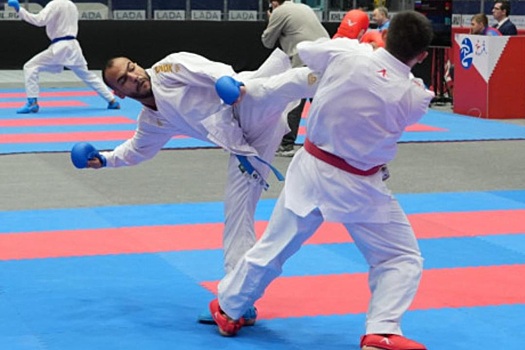 До конца года в Новосибирске пройдут международные соревнования по хоккею, борьбе и биатлону