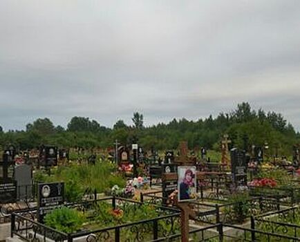 Петербург получил от РФ 40,2 га для расширения Павловского кладбища