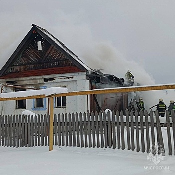 Пенсионер погиб на пожаре в Нижегородской области