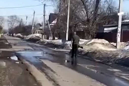 В Нижегородской области сельчанин шел с ружьем по дороге и стрелял в собак