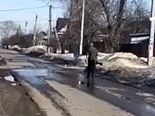В Нижегородской области сельчанин шел с ружьем по дороге и стрелял в собак