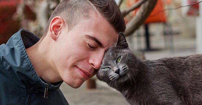 «Когда нашёл своего человека»: милые фотоподборки котиков с их владельцами