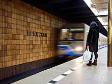 Станцию метро "Пражская" предложили переименовать