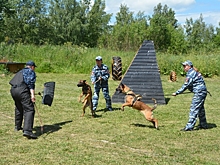 В Смоленске дети из подшефного учреждения побывали на экскурсии в Центре кинологической службы областного УМВД