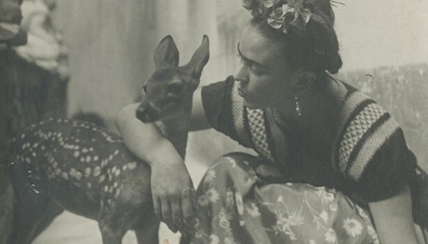 Фотографии и тайные любовные письма Фриды Кало