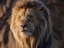 К старту продаж билетов вышел новый тизер фильма «Муфаса: Король Лев»