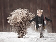 Маленькие дети и их большие собаки. Трогательный фотопроект