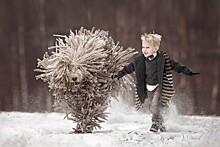 Маленькие дети и их большие собаки. Трогательный фотопроект