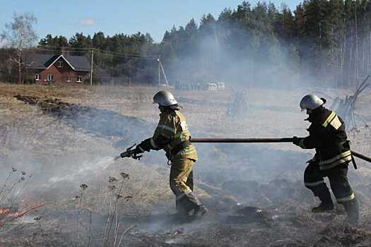 Число пожаров из-за теплой зимы выросло в четыре раза в Воронежской области