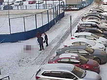 В Тюмени компания разделала барана недалеко от школы