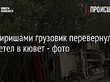 Под Киришами грузовик перевернулся и вылетел в кювет - фото