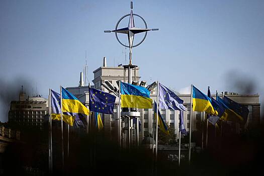 Во Франции выступили против спонсирования Украины после вступления в ЕС