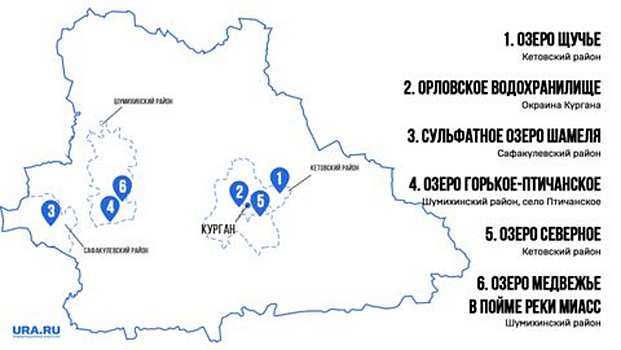 Курганцы раскрыли тайные места для пляжного отдыха. Инфографика
