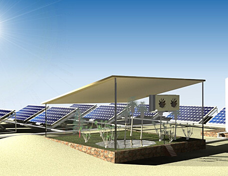 Солнечные батареи облегчили выращивание растений в пустынях