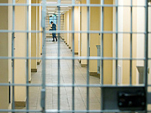 В Петербурге суд приговорил к семи годам участника войны в Сирии