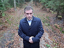 СК: Директор нацпарка "Куршская коса" задержан за незаконную вырубку леса