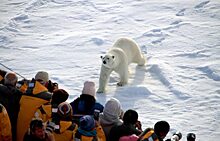 Развитый туризм — спасение Арктики от мусорного коллапса
