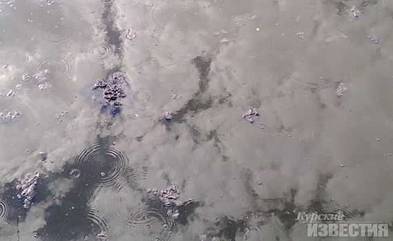 Курск. В Сейм, где погибла рыба, продолжают сбрасывать нечистоты