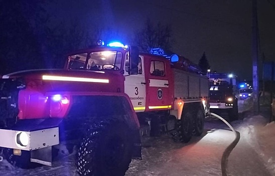 95 пожаров потушили в Новосибирской области за неделю