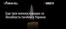 Еще трое военнослужащих из Ленобласти погибли в Украине