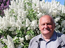 Русская сирень – вдохновение художников, украшение городов…