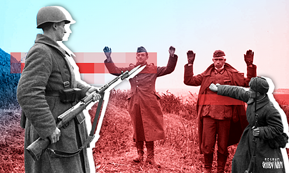 На севере Карелии посадили 36 тыс. сосен в память о погибших в Великую Отечественную войну