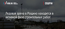 В Нарве предложили взять под охрану укрепления русской армии 1700 года