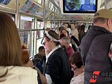 Жители Краснодара высмеяли статус комфортного города-миллионника