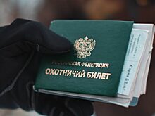 Новый порядок получения охотничьего билета вступает в силу с 1 сентября