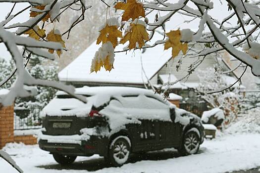 Москвичам назвали новые сроки прихода снегопадов
