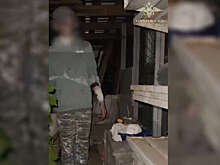 112: отцом напавшего на девочек в Домодедово является физик и кандидат наук