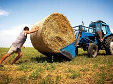 Названы 10 самых опасных профессий в России