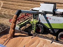 Идея Sputnik по поставкам зерна бедным странам вошла в документ БРИКС