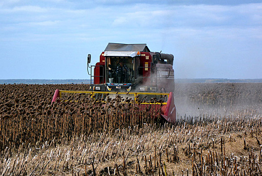 Урожай масличных культур в Рязанской области превзошёл прошлогодний исторический максимум