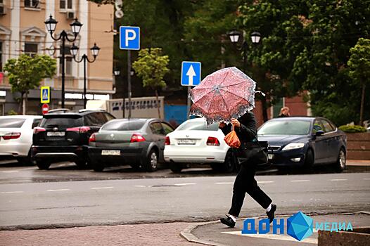Соблюдайте осторожность: ростовчан предупредили о сильном ветре 14 марта
