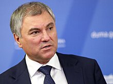 Володин предложил обсудить вопрос передачи на федеральный уровень обеспечения помощи онкобольным в дотационных регионах