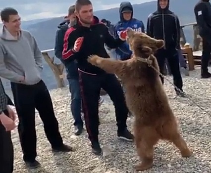 Валуев оценил борьбу Хабиба с медведем