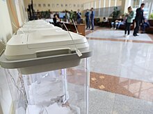 Сколько зарабатывают подмосковные кандидаты в депутаты Госдумы от «Партии Роста»?