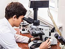 Более 20 тысяч новосибирцев 8 февраля отмечают День науки-2026