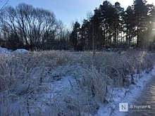 Клещи напали на двух нижегородцев в марте