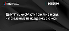 Депутаты Ленобласти приняли законы, направленные на поддержку бизнеса