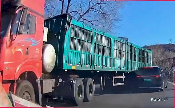 Владелец легковушки совершил обгон и угодил под фуру