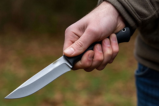 Убивший россиянку в Индии аниматор в день преступления вел себя странно