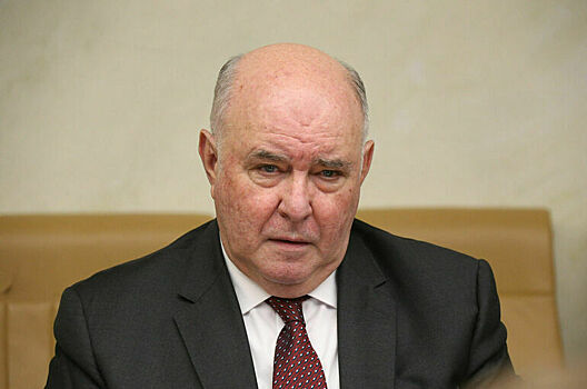 Сенатор Карасин рассказал о наиболее успешных сферах сотрудничества России и Африки