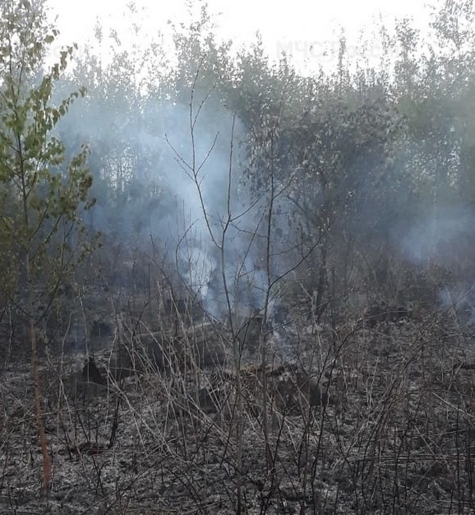В Калужской области начались лесные пожары