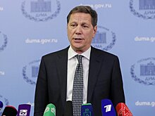 Госдума приняла в I чтении законопроект о продлении дачной амнистии до марта 2031 года