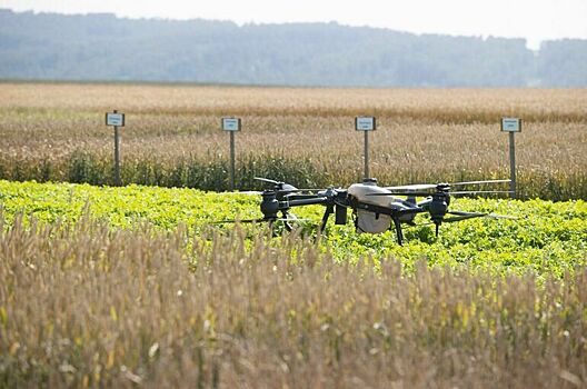 Искусственный интеллект станет для нас конкурентом или помощником?